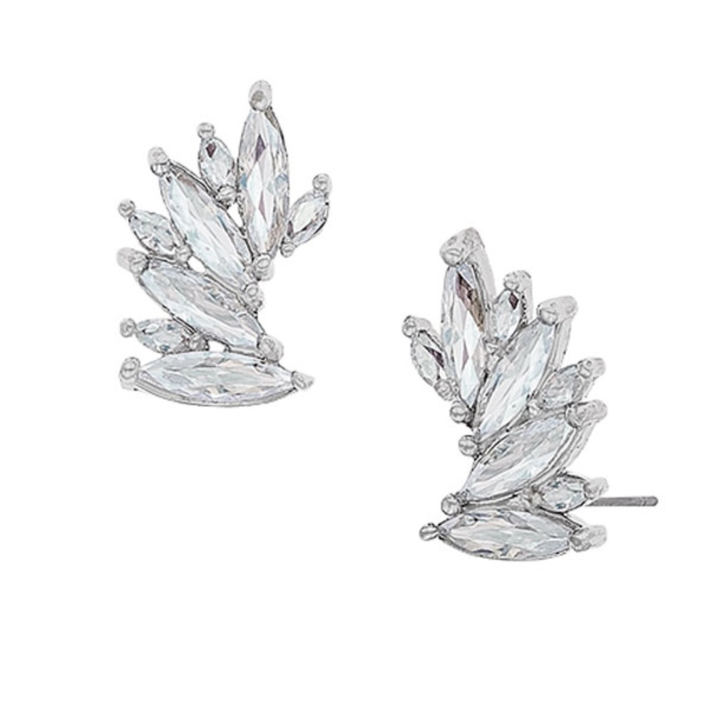 Traci Lynn Ear Candy Earrings - Clear